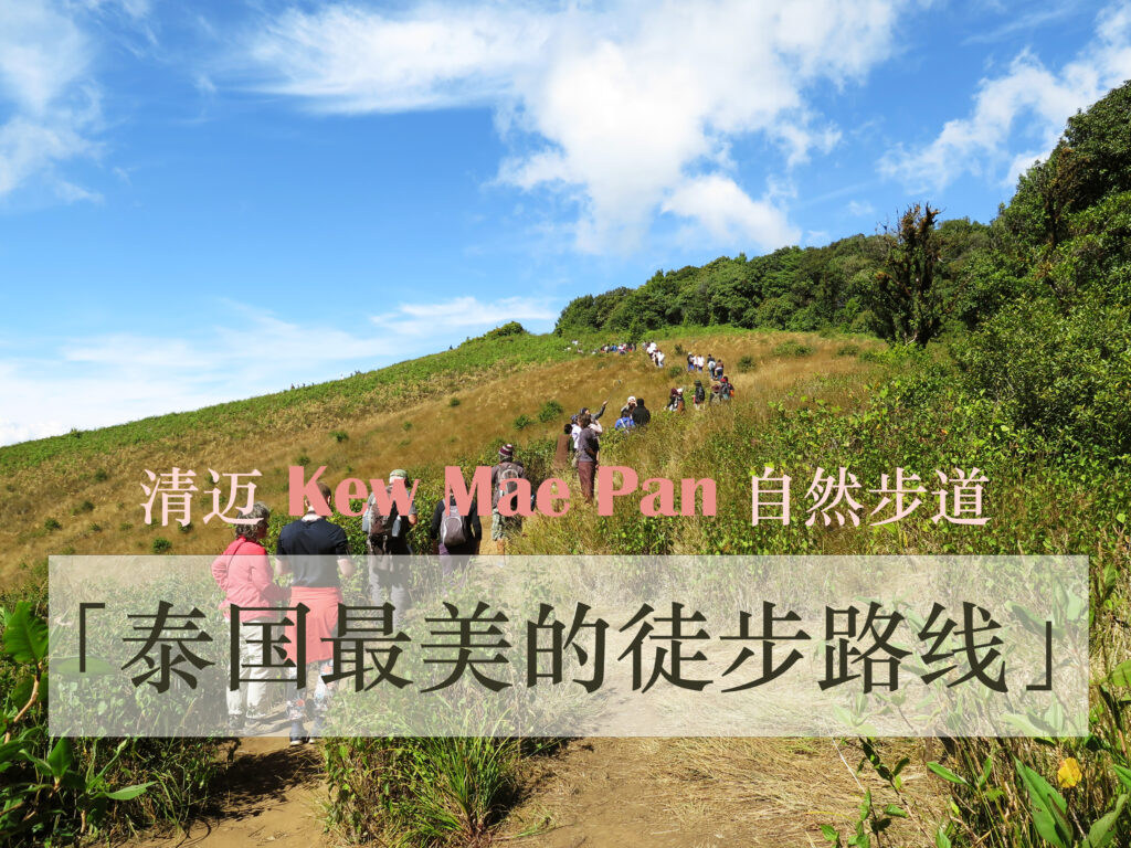 泰国最美步道 – 清迈丘湄潘自然步道 Kew Mae Pan Nature Trail