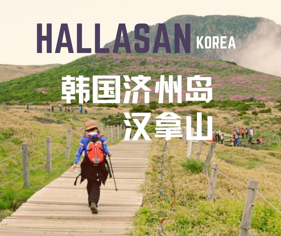 韩国 · 济州岛 · 汉拿山5天4夜徒步之旅 🇰🇷